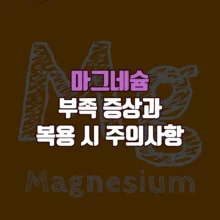 마그네슘 부족 증상 주의사항