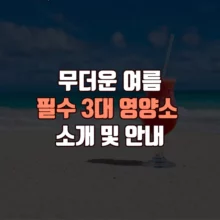 여름 필수 3대 영양소