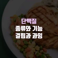 단백질 종류 기능 결핍 과잉
