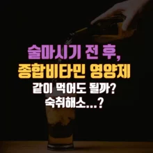 술 마시기 전 후 비타민 영양제