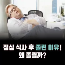 점심 식사 후 졸린 이유