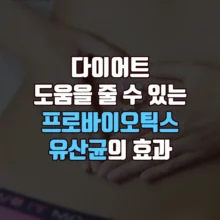 다이어트 도움 프로바이오틱스 유산균 효능