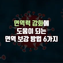 면역력 강화 보강 방법 6가지