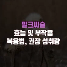 밀크씨슬 효능 부작용 복용법 권장 섭취량
