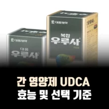 간-영양제-UDCA-효능