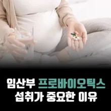 임산부-프로바이오틱스-섭취