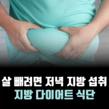 지방-다이어트-식단