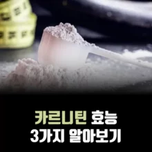 카르니틴-효능