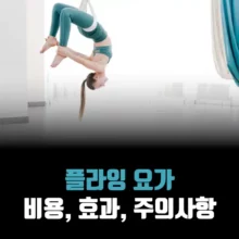 플라잉요가-효과-비용