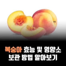복숭아-효능-영양소-보관-방법