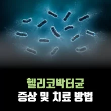 헬리코박터균-증상-치료-방법