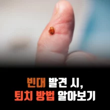 빈대-퇴치-방법-살충제-X