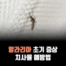 말라리아-초기-증상-치사율-예방법