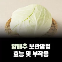 양배추-효능-부작용-보관방법