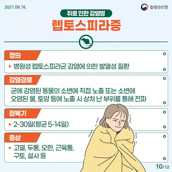 렙토스피라증-증상-정의