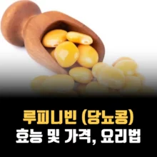 루피니빈-효능-가격-요리법