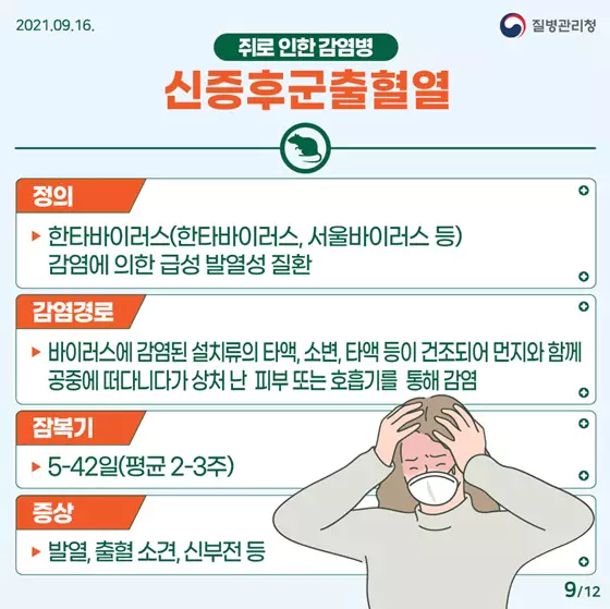 신증후군발열열-증상-정의