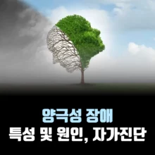 양극성-장애-원인-자가진단