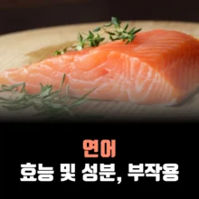 연어-효능-성분-부작용