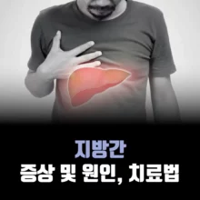 지방간-증상-원인-치료법
