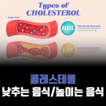콜레스테롤-낮추는-음식-높이는-음식