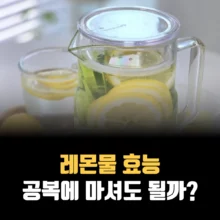 레몬물-효능-공복