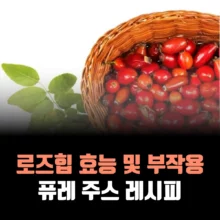 로즈힙-효능-부작용-퓨레-주스