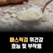 매스틱검-효능-부작용-위건강