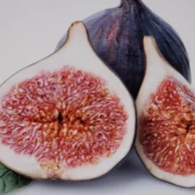 무화과-효능-부작용-갱년기