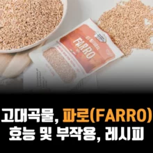 파로-효소-효능-부작용-레시피