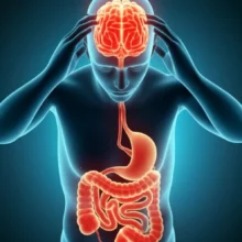 뇌와-장이-연결된-모습의-귀여운-3D-이미지