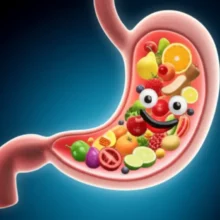 행복한-장과-안정된-혈당을-상징하는-밝게-빛나는-위장과-음식-입자-3D-이미지