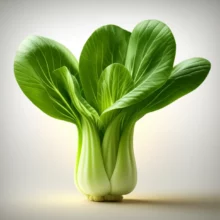 황금빛으로-빛나는-신선한-청경채-한-포기