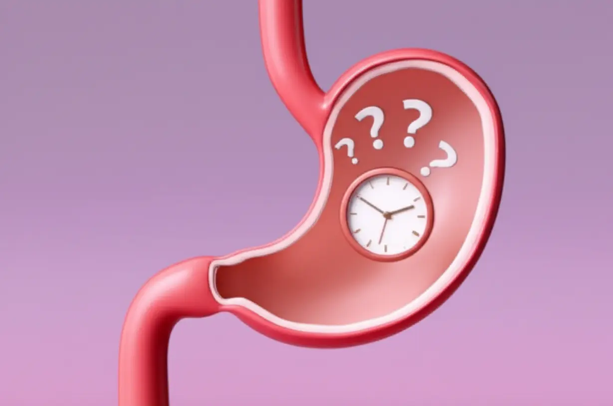 위에서-소화가-느리게-진행되는-모습을-묘사하는-3D-이미지.