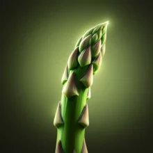 싱싱하고-활력이-넘치는-아스파라거스-한-줄기