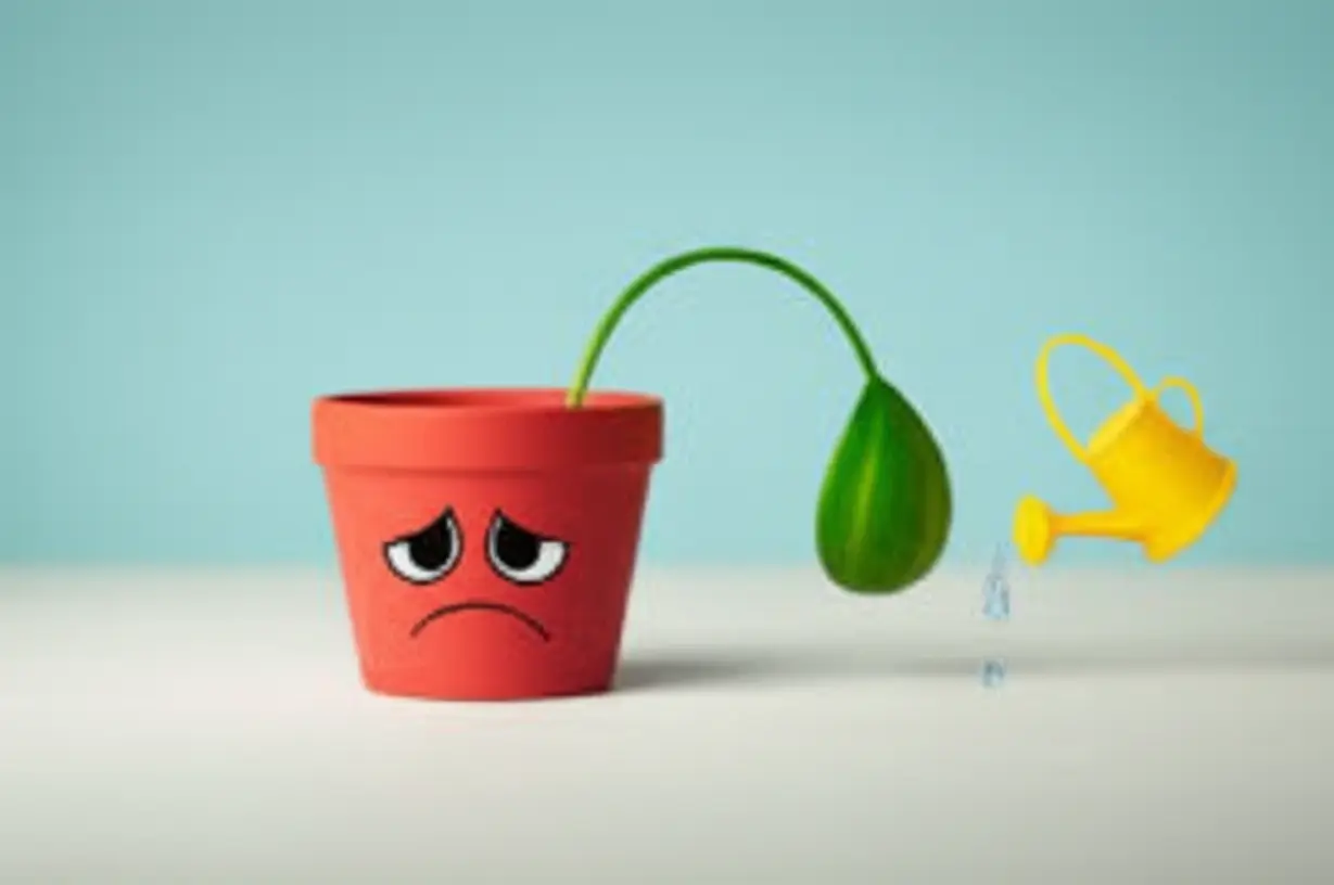 물이-부족해-시든-화분과-물을-주려는-물뿌리개