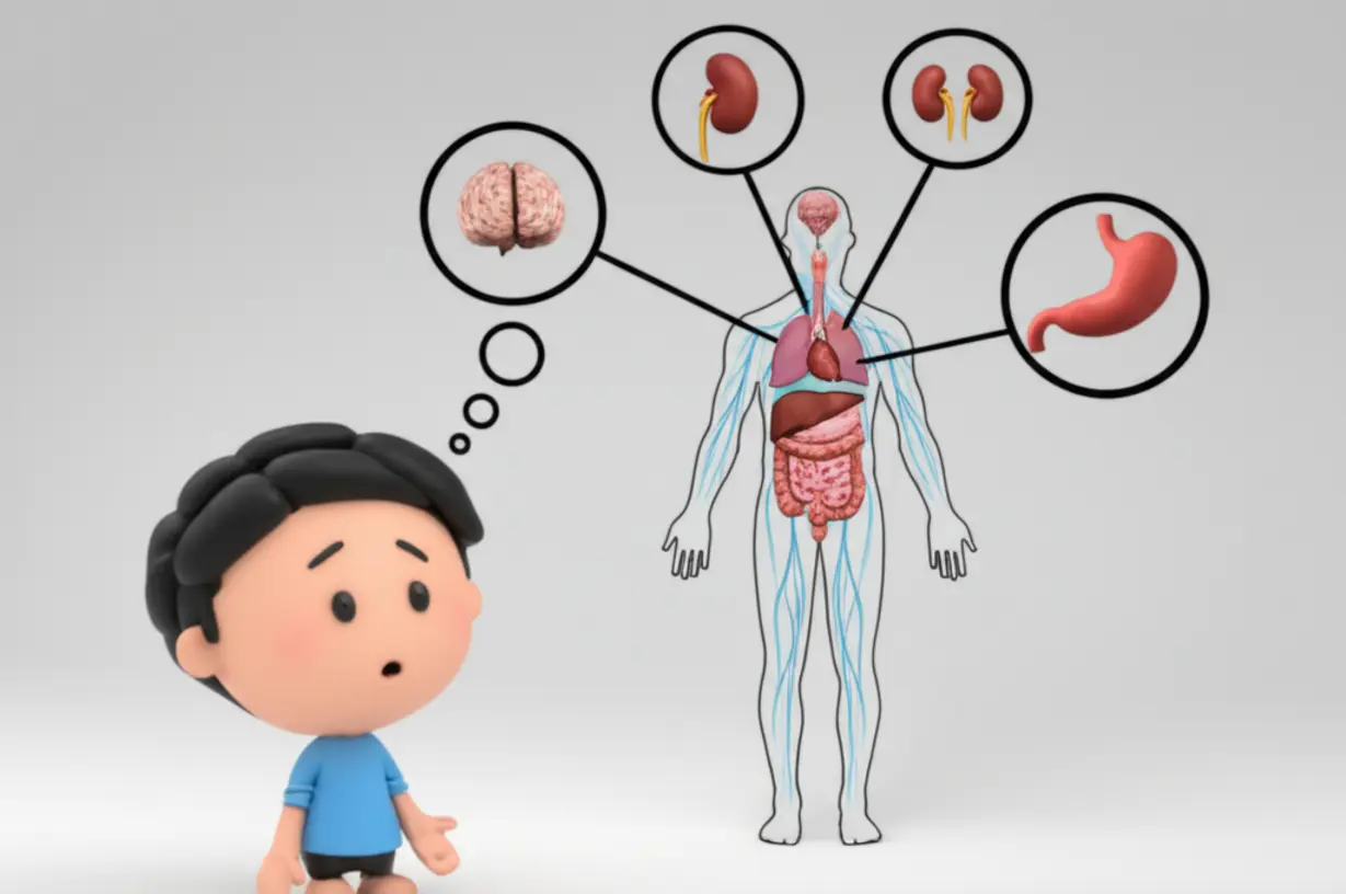 Body Signal Awareness