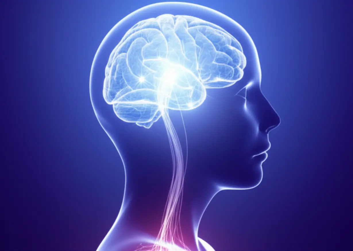 뇌와-신체가-가는-실로-연결된-듯한-귀여운-3D-이미지