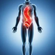 A-vibrant,-healthy-blood-vessel-glowing-within-a-stylized-human-body,-symbolizing-internal-wellness.