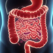 A-cute-3D-illustration-of-a-healthy-intestine-with-beneficial-bacteria,-representing-digestive-comfort.