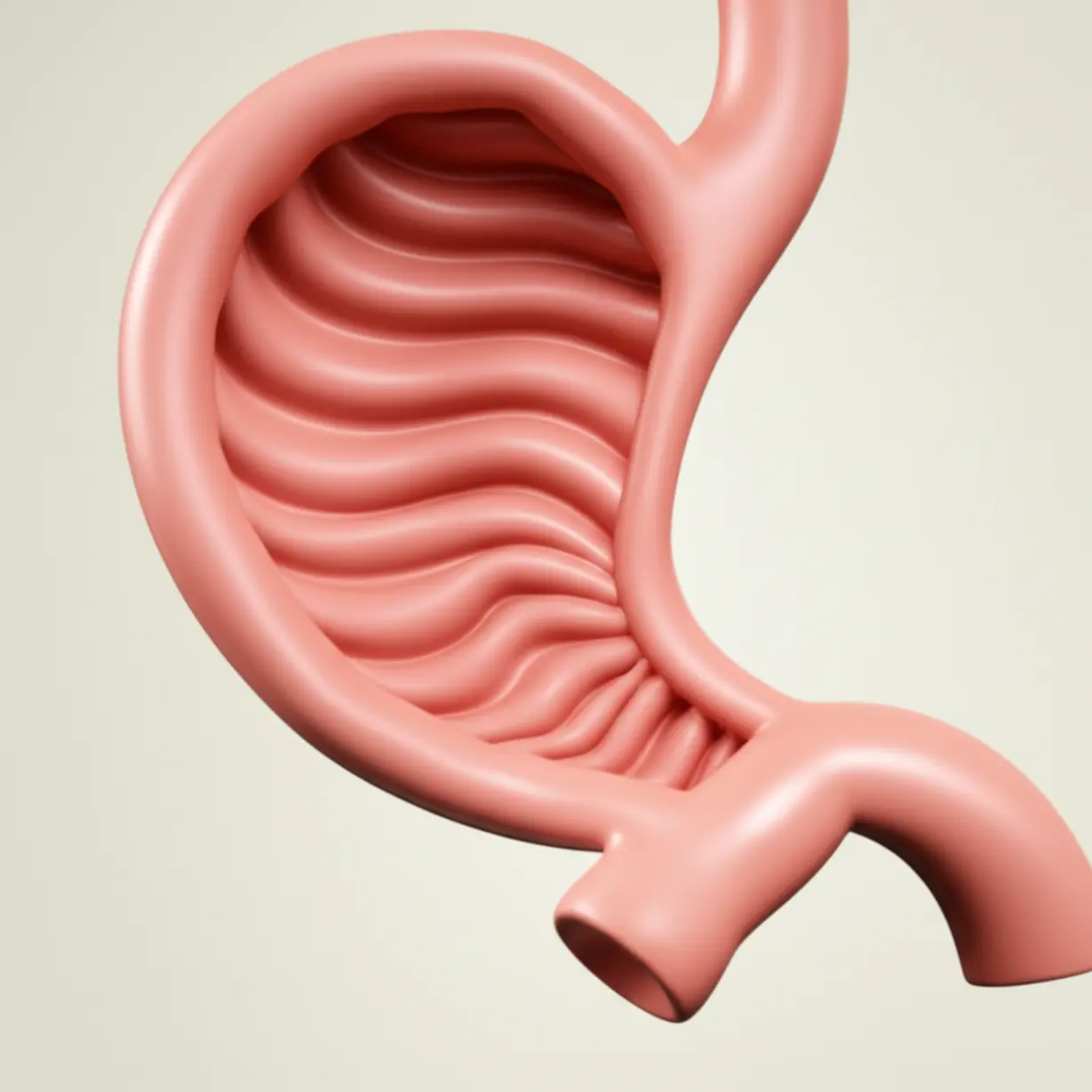 잔잔한-파동이-느껴지는-편안한-위장의-모습