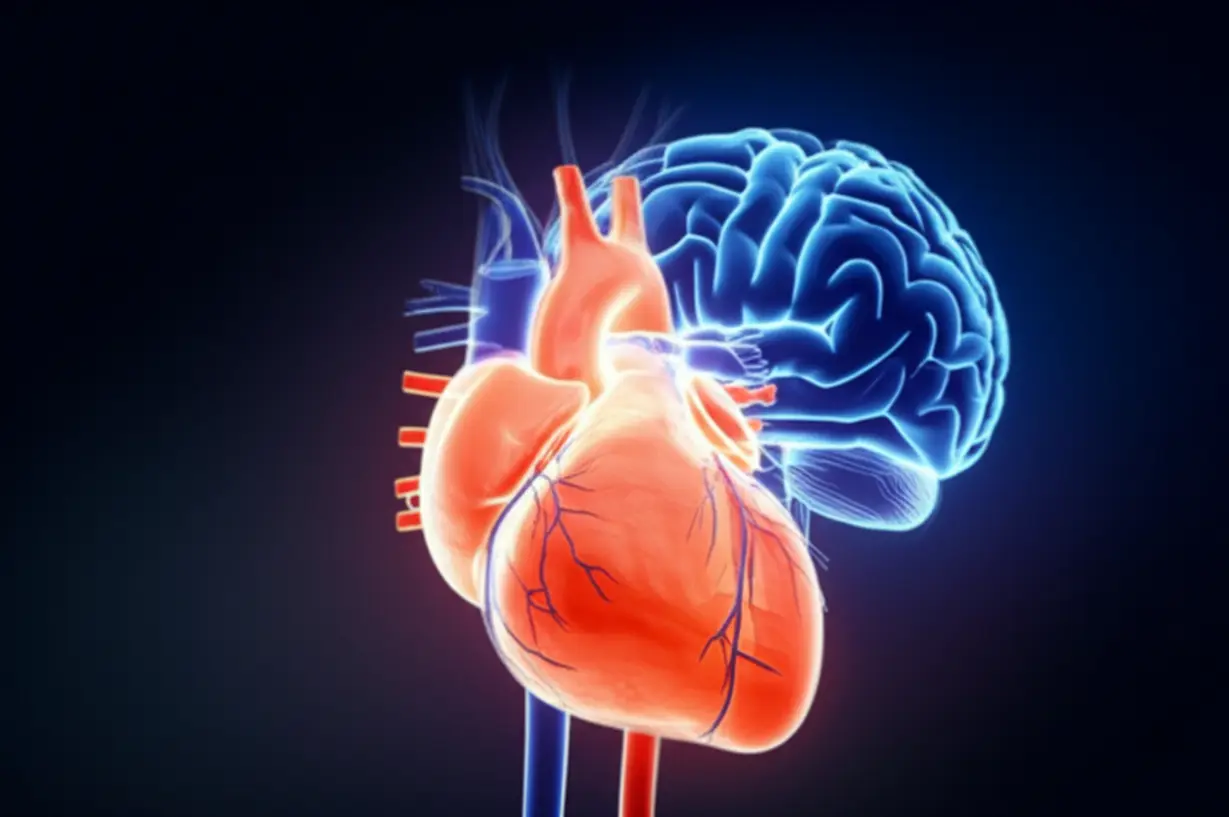 A-3D-rendering-of-glowing-wires-connecting-a-heart-and-brain,-symbolizing-a-balanced-autonomic-nervous-system.