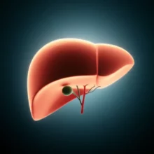 따뜻한-빛을-내뿜는-건강한-간-3D-일러스트