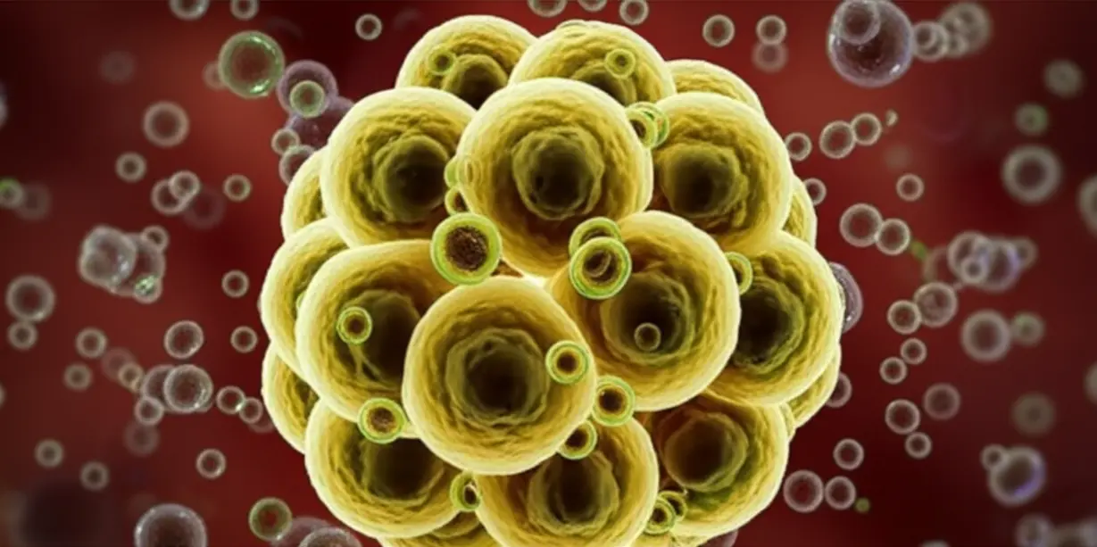 Immune-cells-defending-healthy-cells-from-threats.